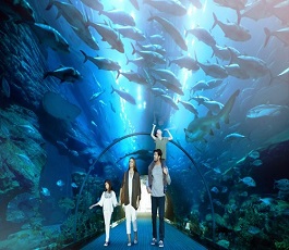  Aquarium And Underwater Zoo in Dubai