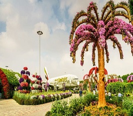 Miracle garden Dubai