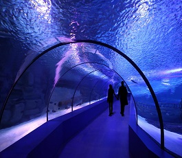 Sea Life London Aquarium